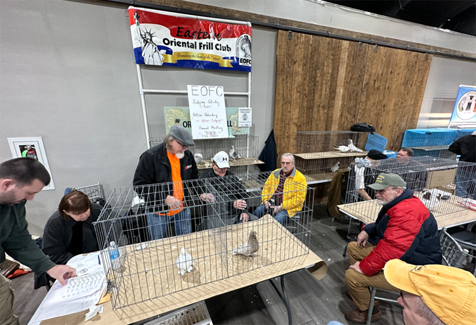 A group of men gathered around pigeons in cages with a sign that says "Eastern Oriental Frill club."